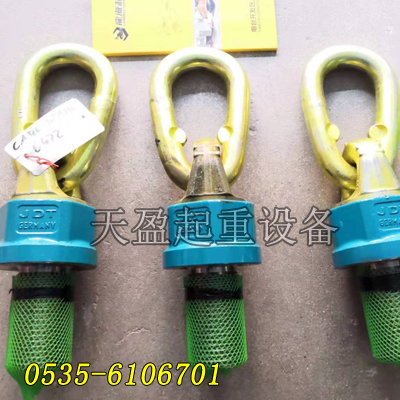 TP6.7德國JDT旋轉(zhuǎn)吊環(huán)M30x35,機械廠用旋轉(zhuǎn)吊環(huán)
