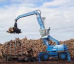 德國富奇(TEREX|Fuchs)MHL 460木材抓舉車 MHL 460